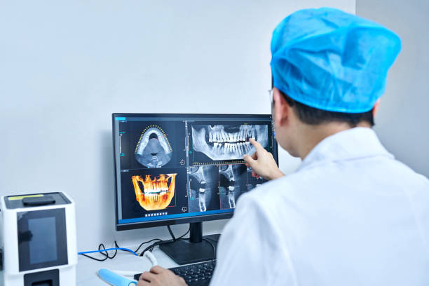 Best Emergency X-Rays and Diagnostics in Garland, UT